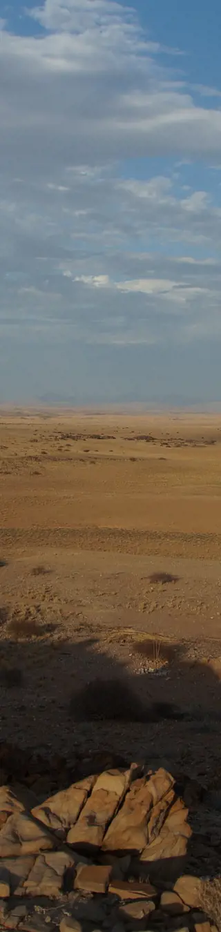 Die eindrückliche Landschaft von Rostock Ritz besuchen